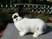DSC02933.JPG