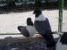 IMAG0425.JPG