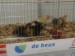 DSC04659.JPG