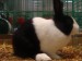DSC04669.JPG