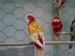 IMAG0675.JPG